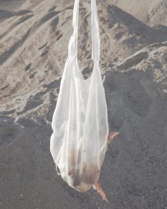 Haze from Food Waste